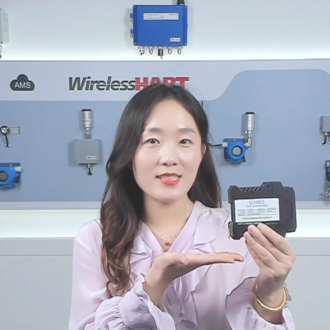 G1003 HART 轉 Modbus 網(wǎng)關